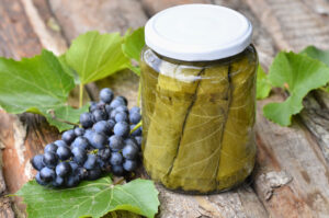 Strategic Sourcing and Quality Assurance: Elevating Turkan's Grape Leaves Supply Chain