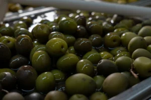 bulk-olives